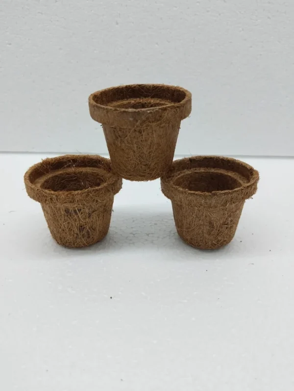 Eco-Friendly Coconut Coir Pots with Soil Pellets - Image 3