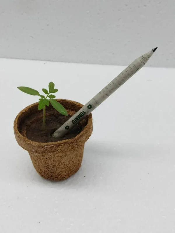 Eco-Friendly Coconut Coir Pots with Soil Pellets - Image 6